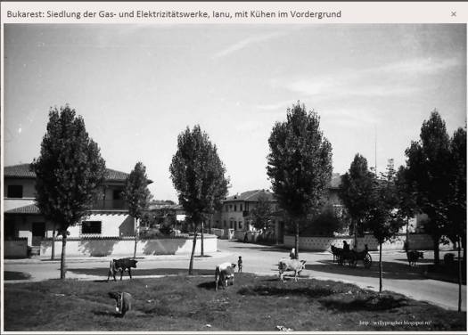 Primaverii Quarter, in the 1930's 